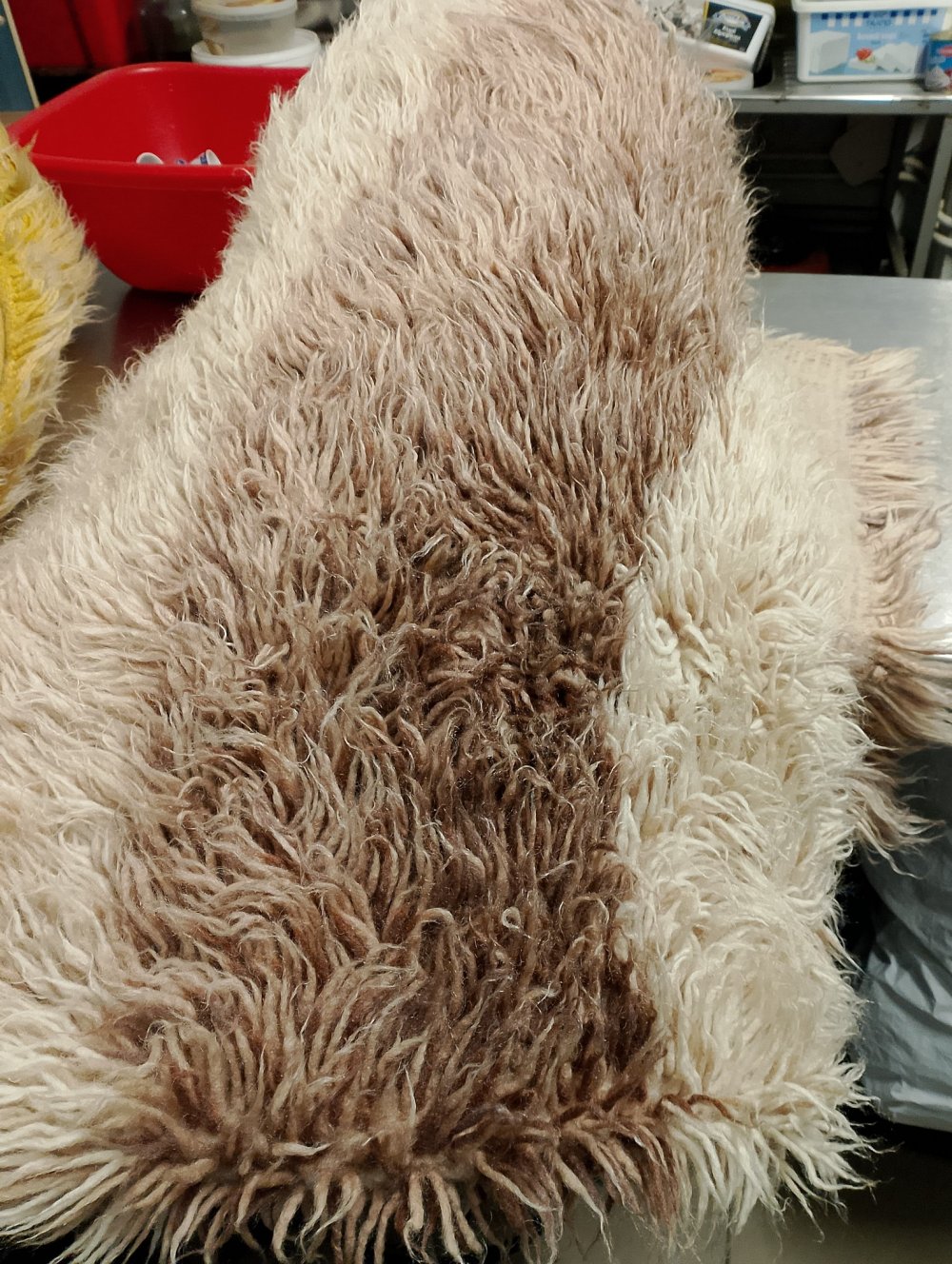 Χαρίστηκαν από την Κουζίνα Αλληλεγγύης Βόλου 